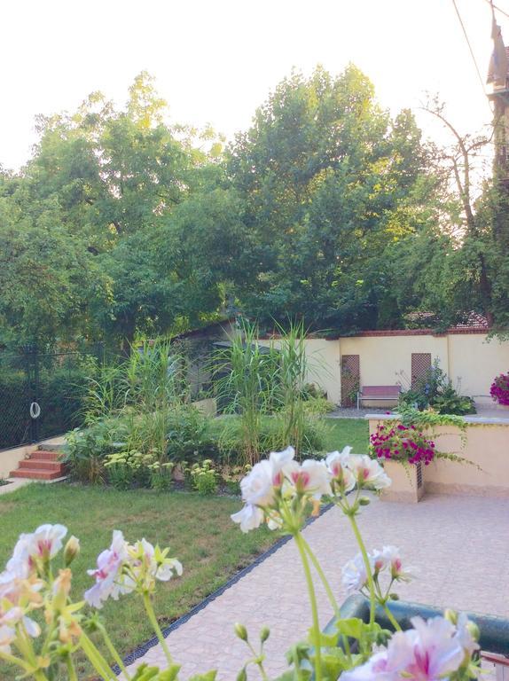 Appartement Amaryllis *